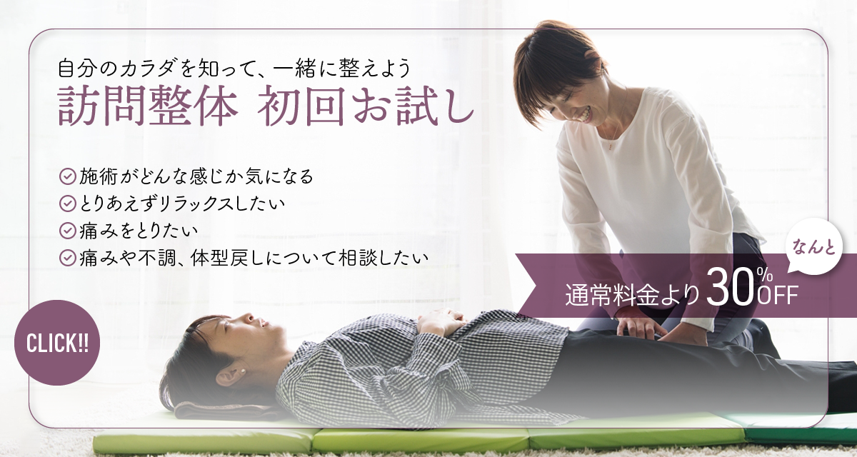 訪問整体 初回お試し