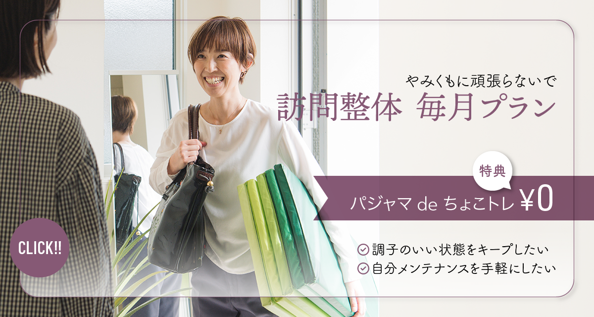 訪問整体 毎月プラン