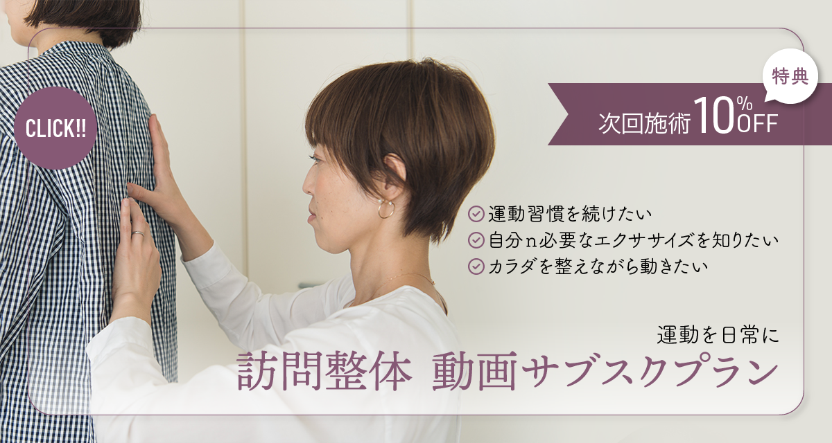 訪問整体 動画サブスクプラン